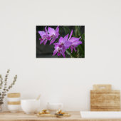 Poster Orchidées pourpres (Cuisine)