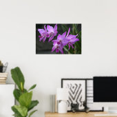 Poster Orchidées pourpres (Bureau à domicile)