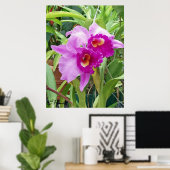 Poster Orchidées pourpres de Cattleya (Bureau à domicile)