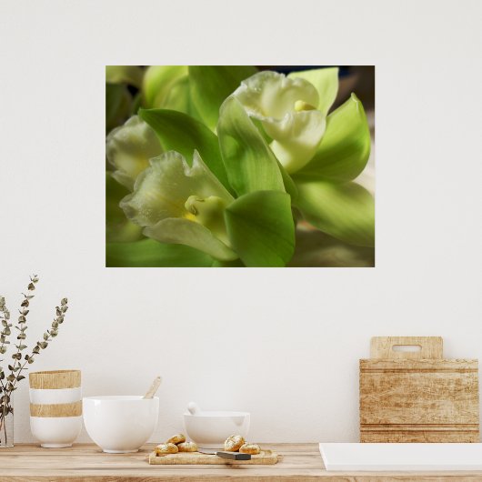 Poster Orchidées vertes soie et satin 1 (Cuisine)