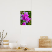 Poster Orchidées violettes (Cuisine)