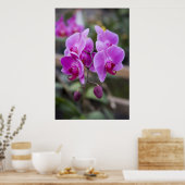 Poster Orchidées violettes en fleurs (Cuisine)