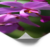 Poster Orchidées violettes sauvages sur l'affiche (Coin)