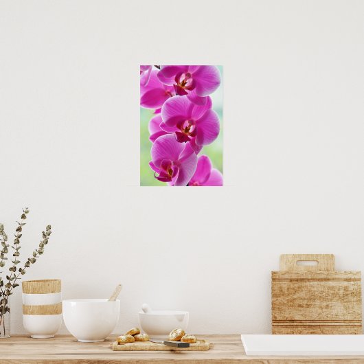 Poster Orchides de Lovely (Cuisine)