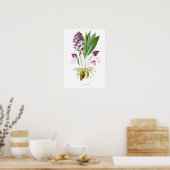 Poster Orchis purpurea (Cuisine)