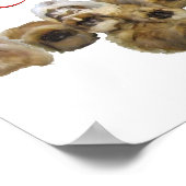 Poster Ordre de Pékin (Coin)