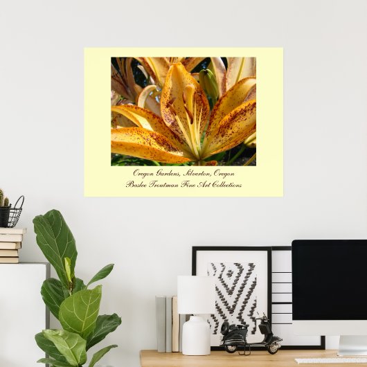 Poster Oregon Gardens Silverton Golden Lily Flowers (Bureau à domicile)