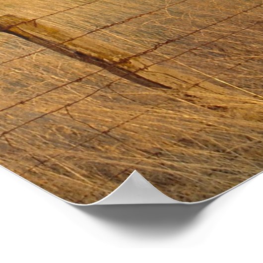 Poster Oregon oriental à Dusk (Coin)