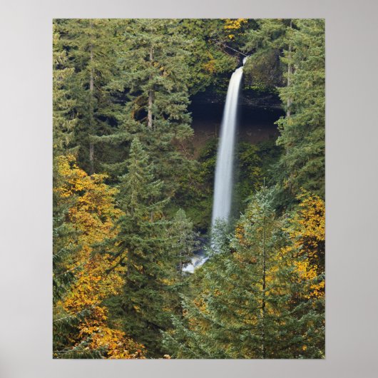 Poster Oregon, parc d'État de Silver Falls, North Falls (Devant)