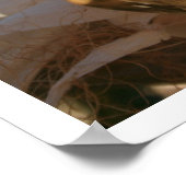 Poster Oreille de maïs sur Stalk (Coin)