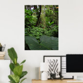 Poster Oreille éléphante en forêt tropicale (Bureau à domicile)