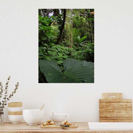 Poster Oreille éléphante en forêt tropicale (Cuisine)