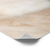 Poster Oreiller À Lancer Du Labrador Et Du Papillon (Coin)