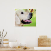 Poster Oreiller À Lancer Du Labrador Et Du Papillon (Cuisine)