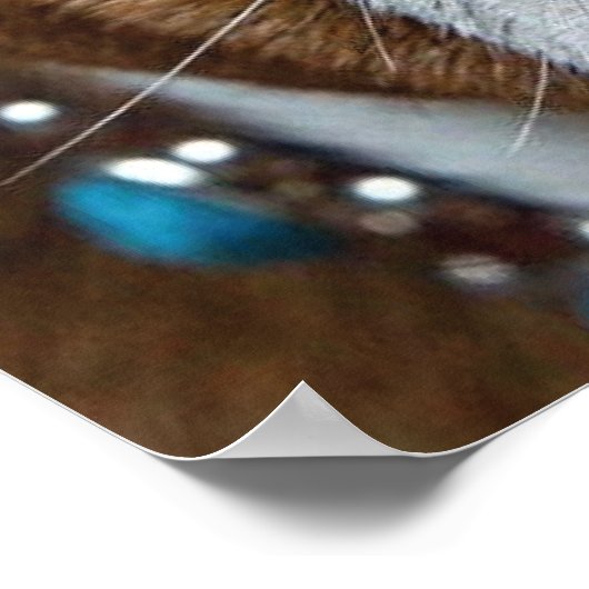 Poster Oreillers à lancer de Bulldog anglais (Coin)