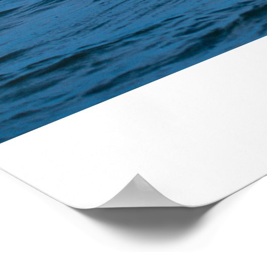 Poster Oreo, Cookie et DoubleStuf (Coin)