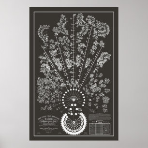 Poster Org du chemin de fer New York & Erie - Sombre - Pl