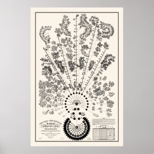 Poster Org ferroviaire New York & Erie - Lumière - Plan