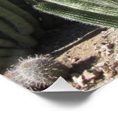 Poster Organe Cactus (Coin)