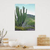 Poster Organe Cactus (Cuisine)
