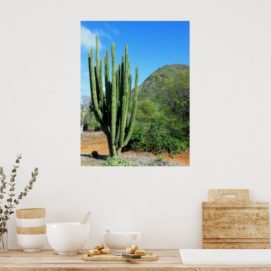 Poster Organe Cactus (Cuisine)