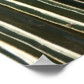 Poster Organe Cactus (Coin)