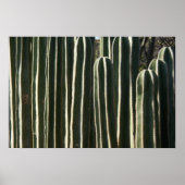 Poster Organe Cactus (Devant)