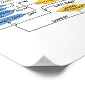 Poster Organigramme d'identification de goéland (Coin)