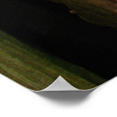 Poster organique (Coin)