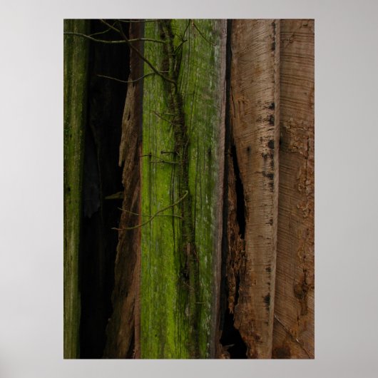 Poster organique (Devant)