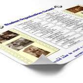 Poster Organisations (Coin)