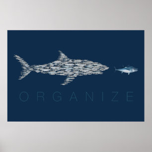 Poster Organiser le poisson