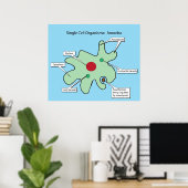Poster Organismes à cellule unique : Amoeba (Bureau à domicile)