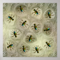 Organismes microscopiques abstraits dans une matri