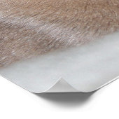 Poster Oriental Shorthair Cats Imprimer (Coin)