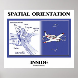 Poster Orientation spatiale à l'intérieur (plan d'anatomi