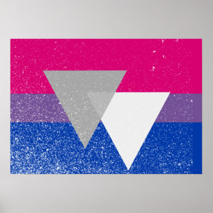 POSTER ORIGINAL BISEXUEL DE DRAPEAU AVEC LE SYMBOLE - .PN