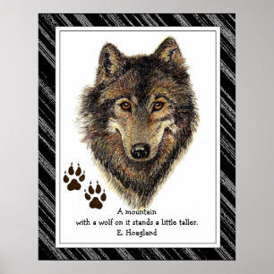 Poster Original Watercolor Wolf, Tracks Mountain Citation