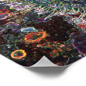 Poster Origines cellulaires (Coin)