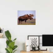 Poster orignal, Alces alces, taureau aux gros bois (Bureau à domicile)