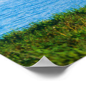 Poster Orignal dans le lac Wonder (Coin)