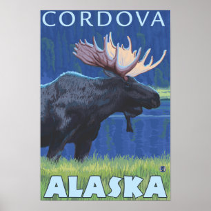 Poster Orignaux la nuit - Cordova, Alaska