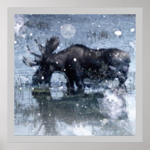 Poster Orignaux rustiques de taureau de faune de région