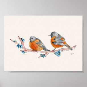 Poster Orioles d'aquarelles
