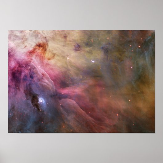 Poster Orion Nebula rose (Devant)