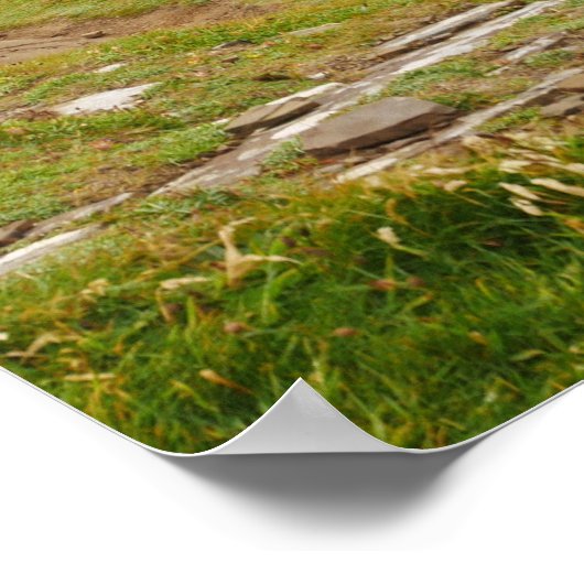 Poster Orkney (Coin)