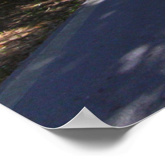 Poster Ormond Beach Loop (Coin)