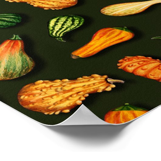 Poster Ornamental Gourds for Autumn, affaire Thanksgiving (Coin)