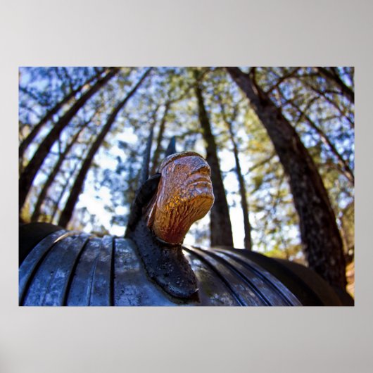 Poster Ornement de chaperon indien Pontiac (plus clair) (Devant)