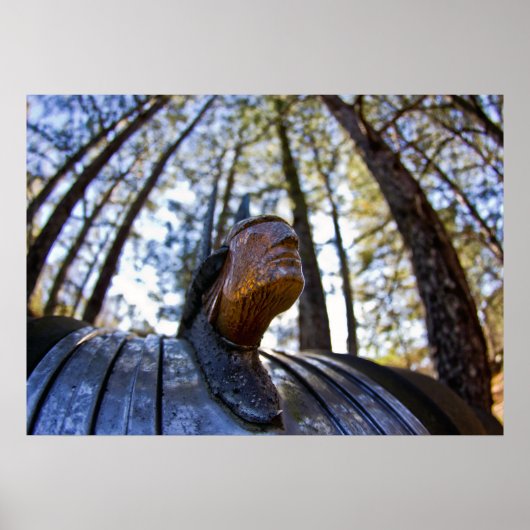 Poster Ornement de la Hood indienne Pontiac (Devant)